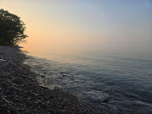 Out of Office (and Into the Forest): Why Nurses Need to Unplug